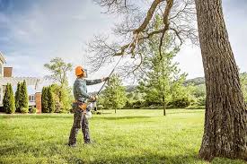 Best Lawn Mowing  in Russellville, AL
